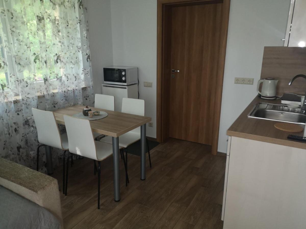 Kristinos Apartment Ντρουσκινινκάι Εξωτερικό φωτογραφία
