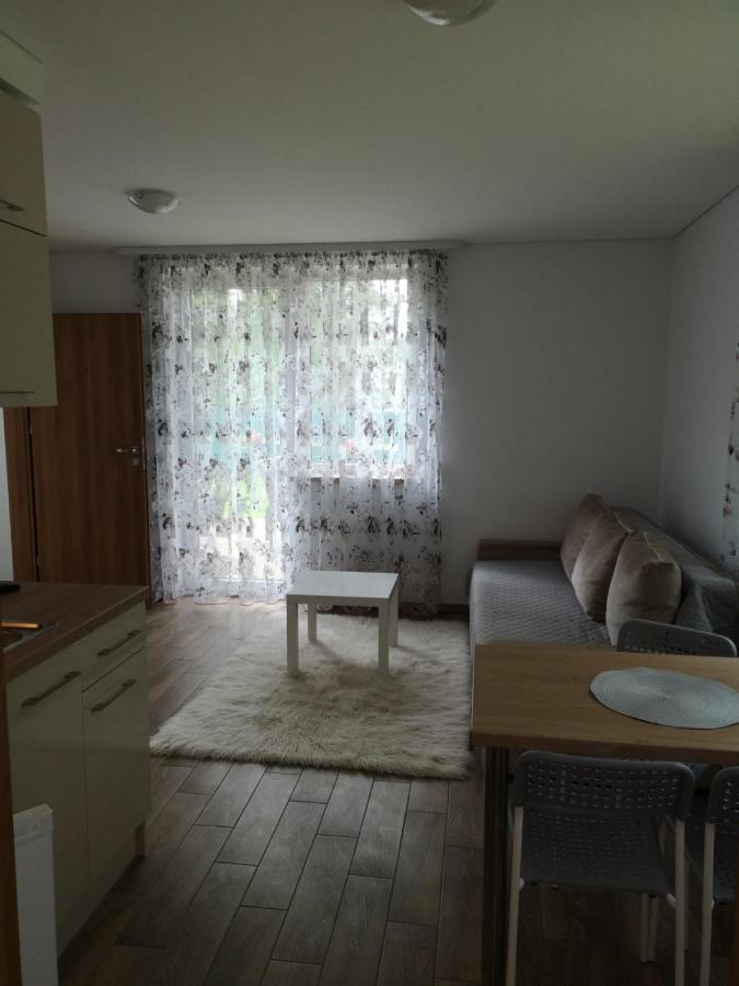 Kristinos Apartment Ντρουσκινινκάι Εξωτερικό φωτογραφία