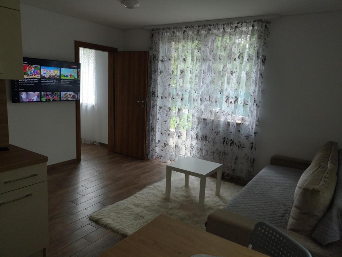 Kristinos Apartment Ντρουσκινινκάι Εξωτερικό φωτογραφία