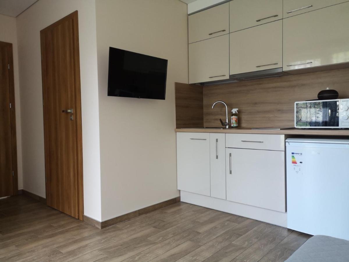 Kristinos Apartment Ντρουσκινινκάι Εξωτερικό φωτογραφία