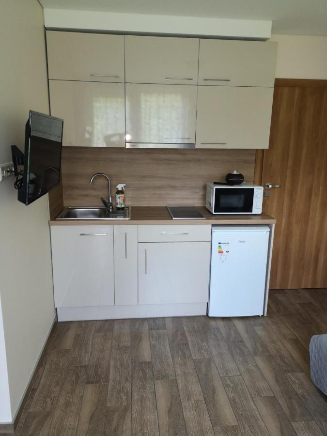 Kristinos Apartment Ντρουσκινινκάι Εξωτερικό φωτογραφία