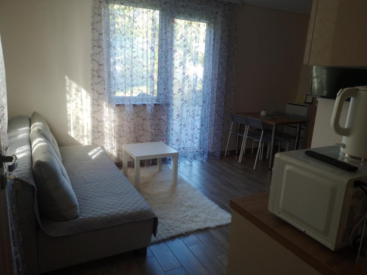 Kristinos Apartment Ντρουσκινινκάι Εξωτερικό φωτογραφία