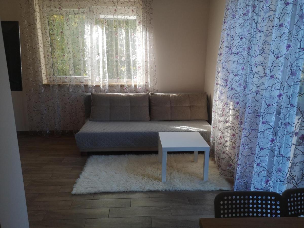 Kristinos Apartment Ντρουσκινινκάι Εξωτερικό φωτογραφία