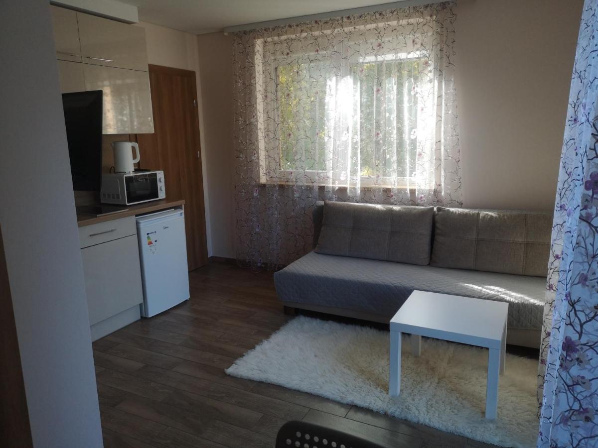 Kristinos Apartment Ντρουσκινινκάι Εξωτερικό φωτογραφία